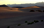 Sand Dunes of Death Valley